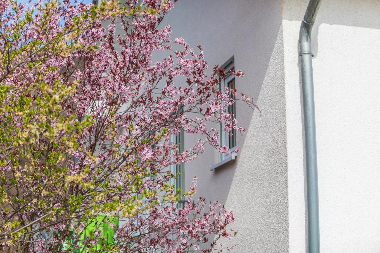 Haus Flora - Ferienwohnungen Cochem Exterior photo